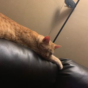 Meet your Posher, Brooke